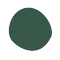 shape 6